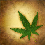 Historical Bill to Legalize Marijuana