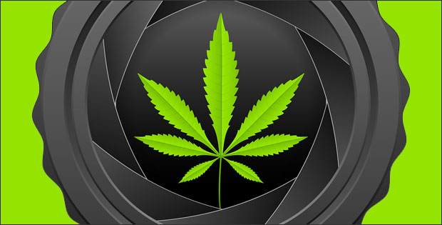 Michigan Picked Legalize Recreational Marijuana