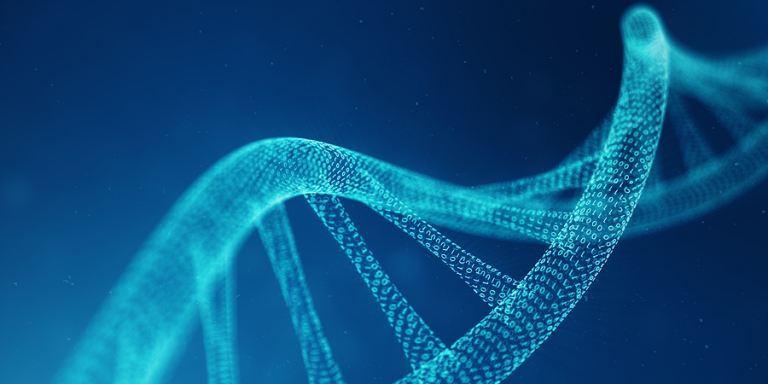 DNA binary code