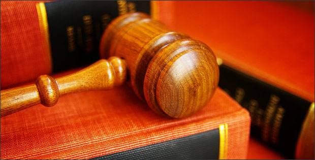 Expert Witnesses