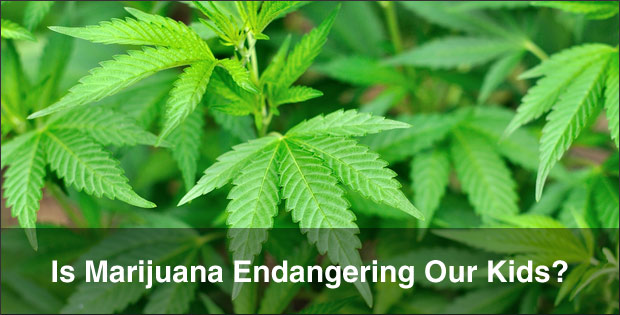 Is Marijuana Endangering Our Kids? 