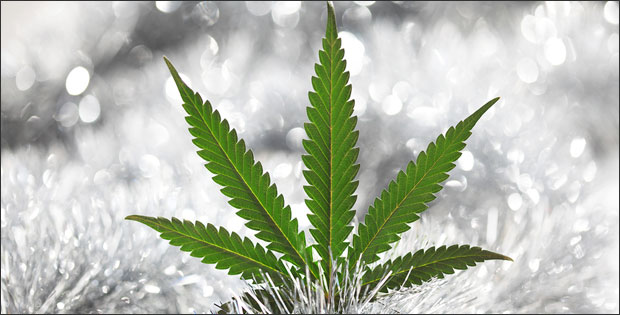 Marijuana friendly Michigan cities