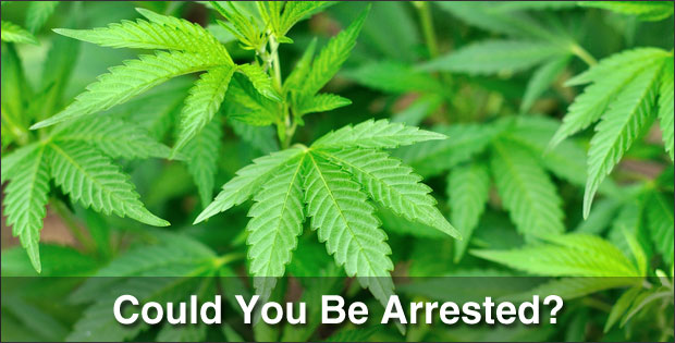 Could You Be Arrested